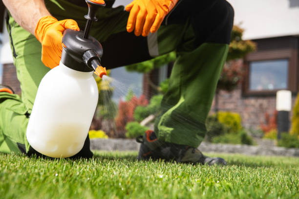 Best Affordable Pest Control Services  in Alpha, NJ
