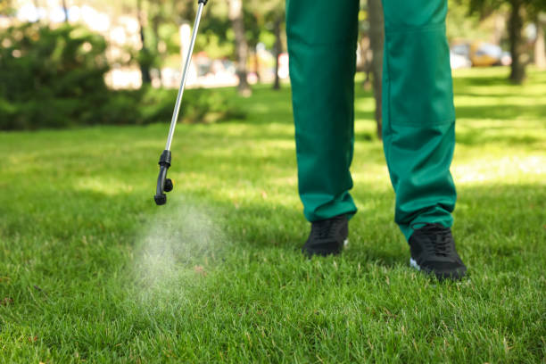 Flea Control Services in Alpha, NJ