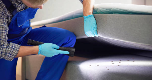 Best Pest Control Near Me  in Alpha, NJ