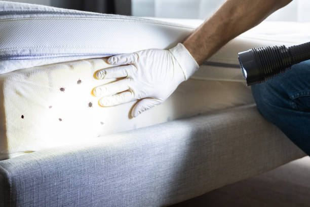 Professional Pest Control in Alpha, NJ