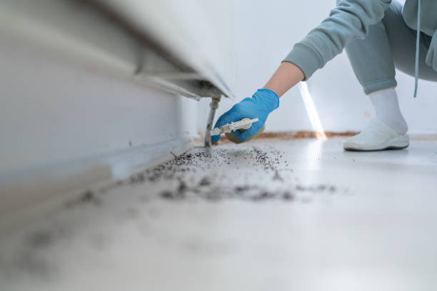 Best Pest Prevention Services  in Alpha, NJ
